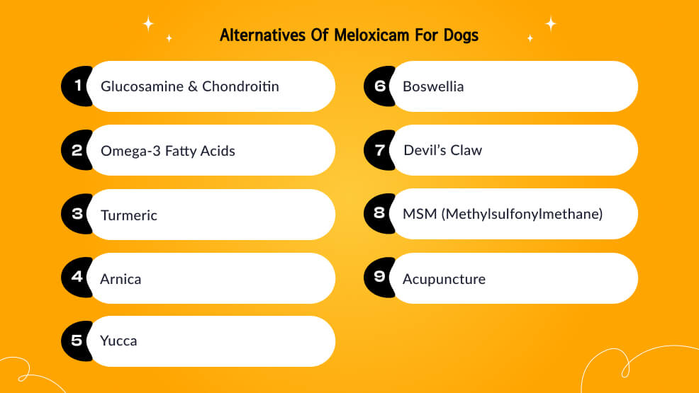 Alternatives of Meloxicam for dogs