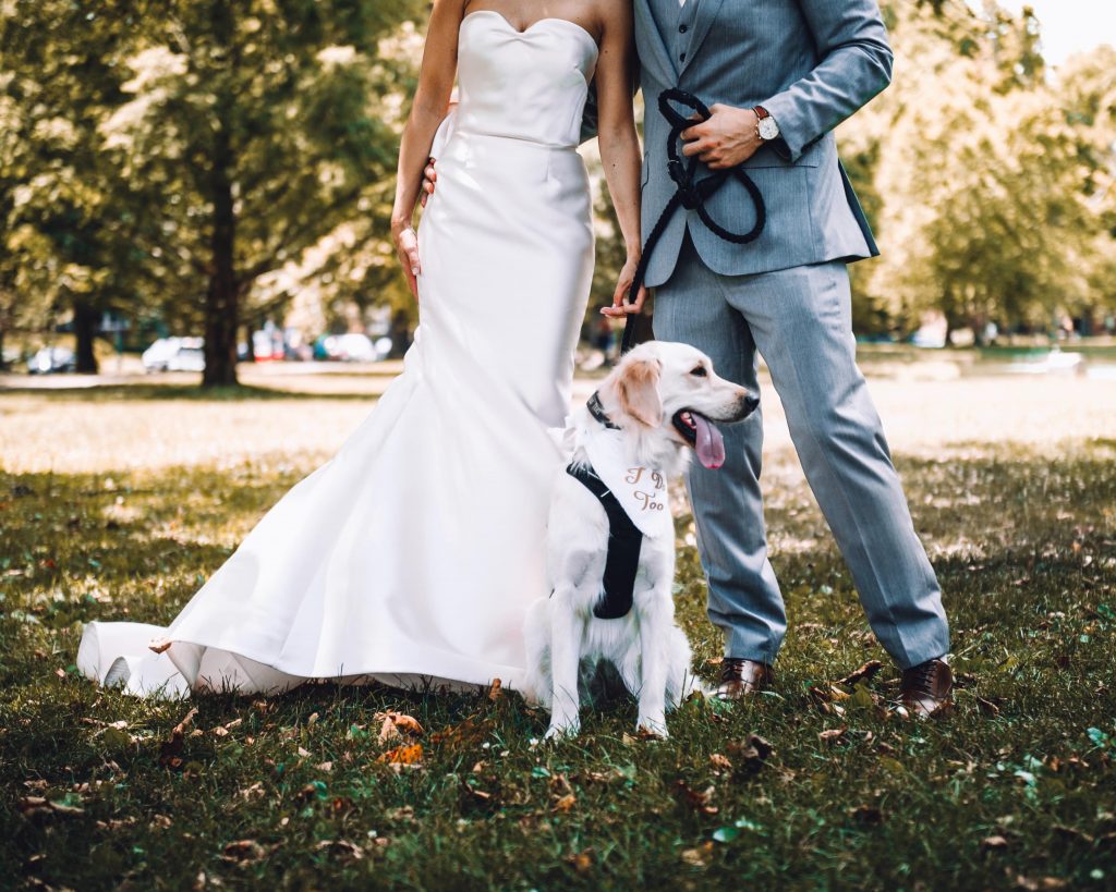 White Bride Dog Dresses