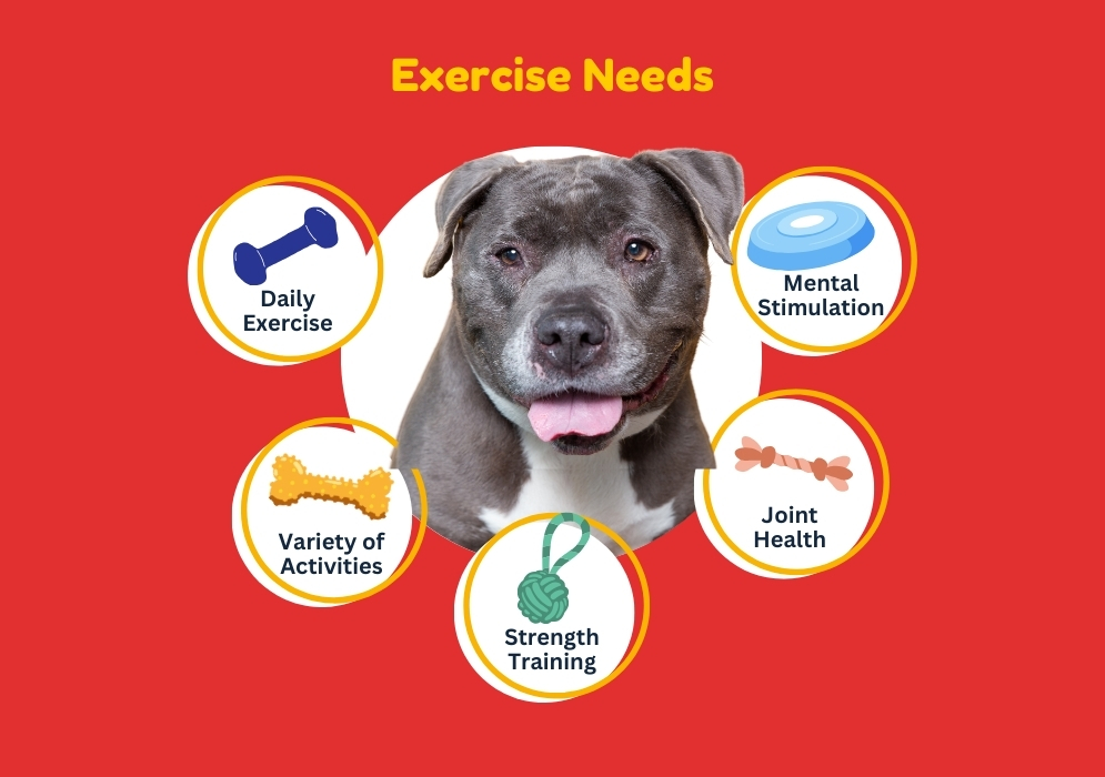 Exercise Needs