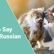 cat in Russian