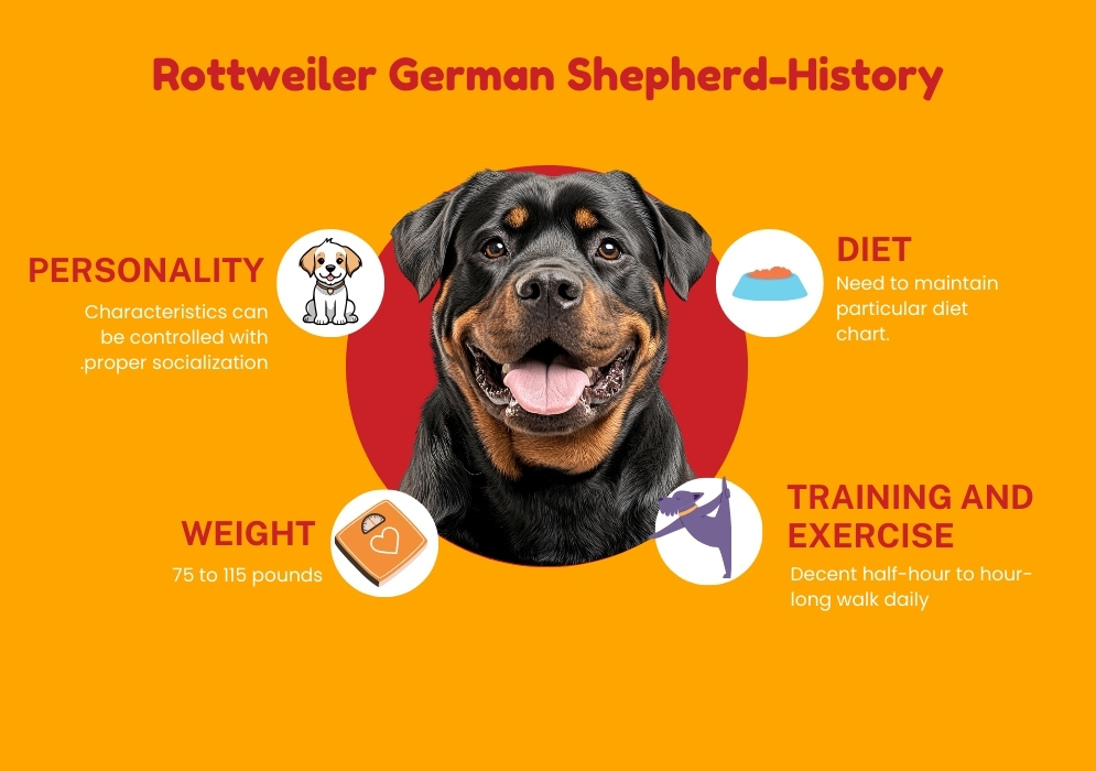 Rottweiler German Shepherd