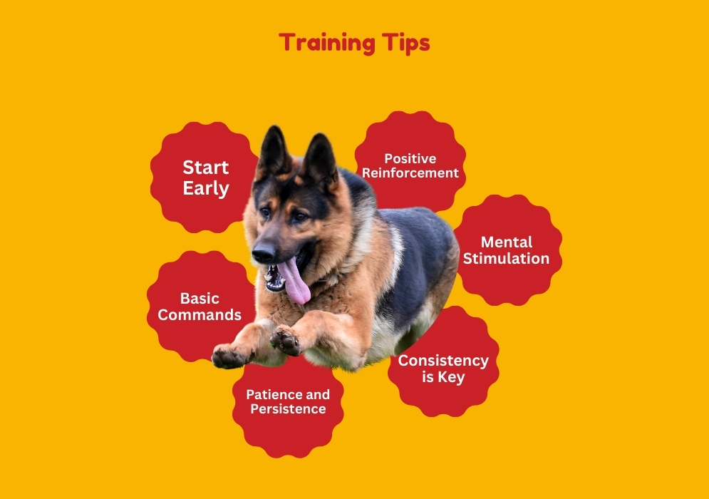 Training Tips