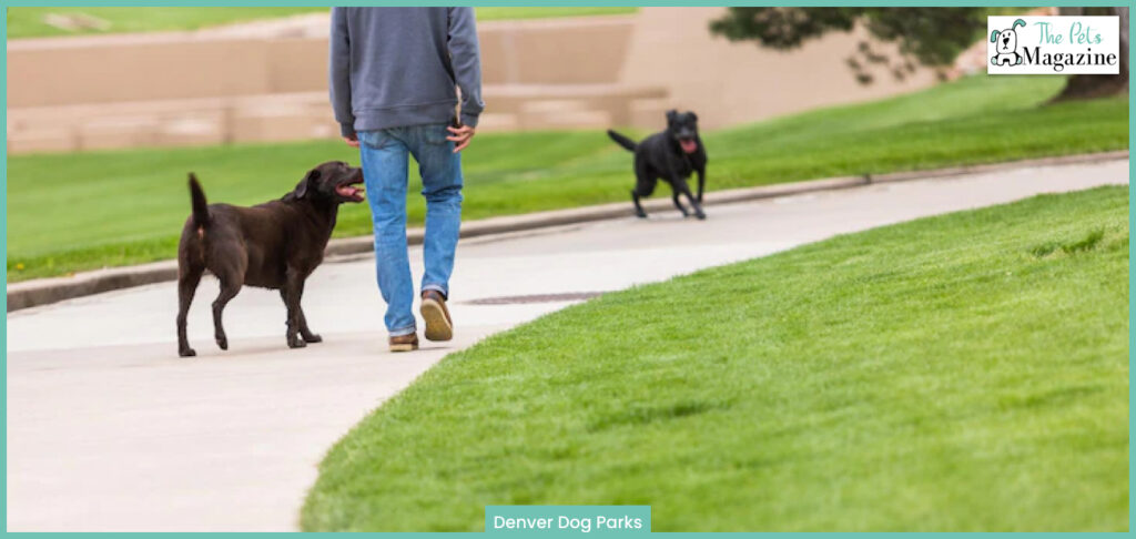 Denver Dog Parks
