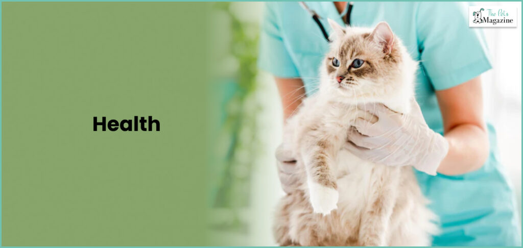 Health of Ragdoll cats