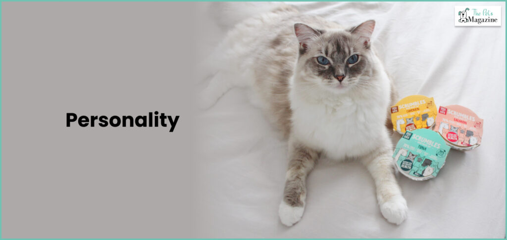 Personality of Ragdoll cats