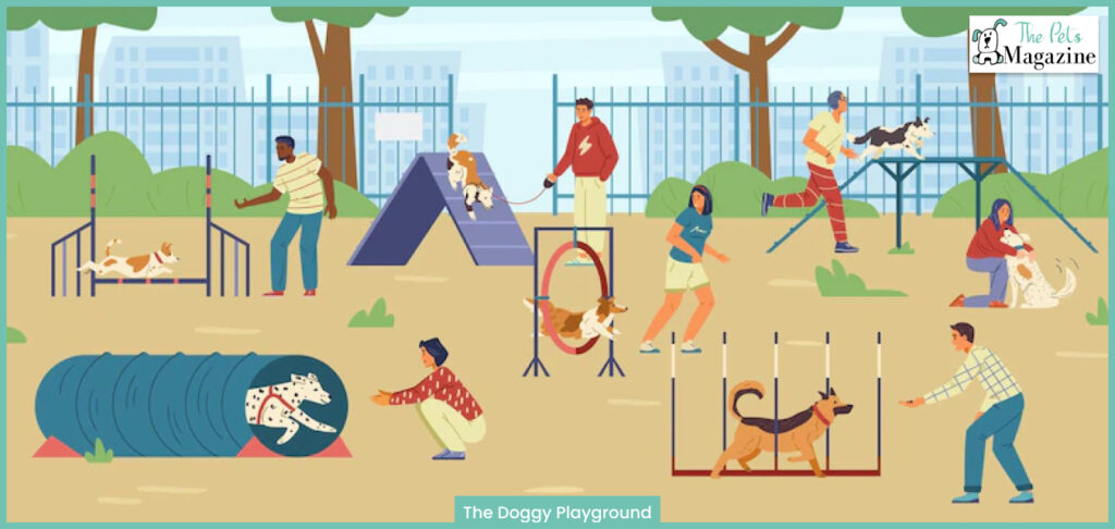 The Doggy Playground