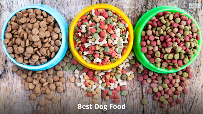 Best Dog Food