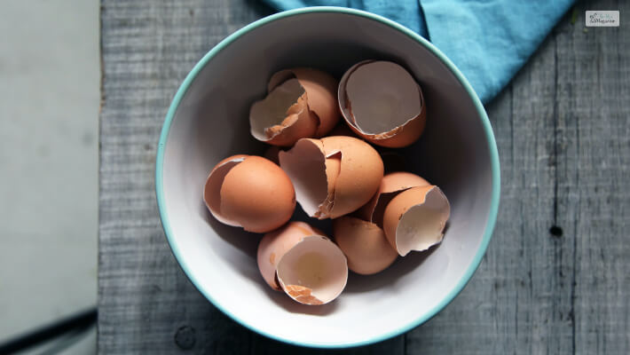 is egg shells good for dogs