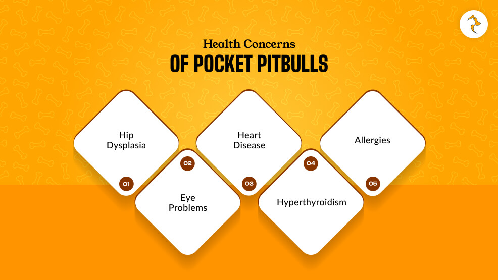 Health Concerns