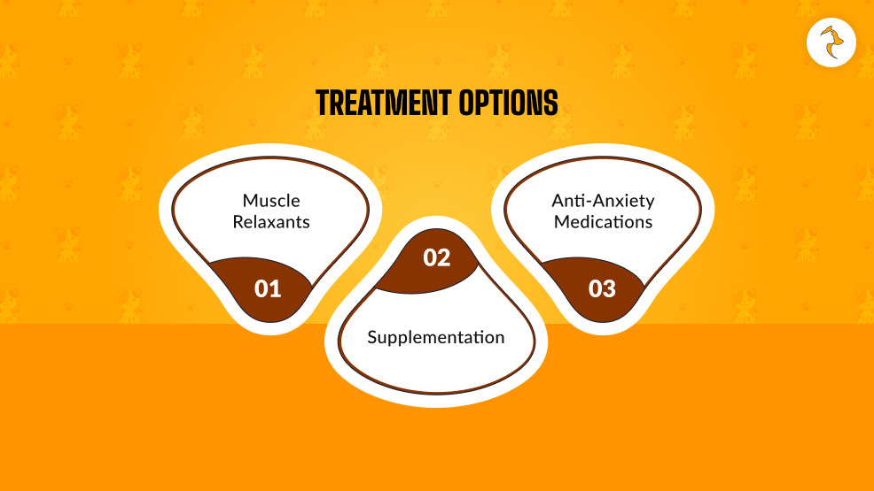 Treatment Options