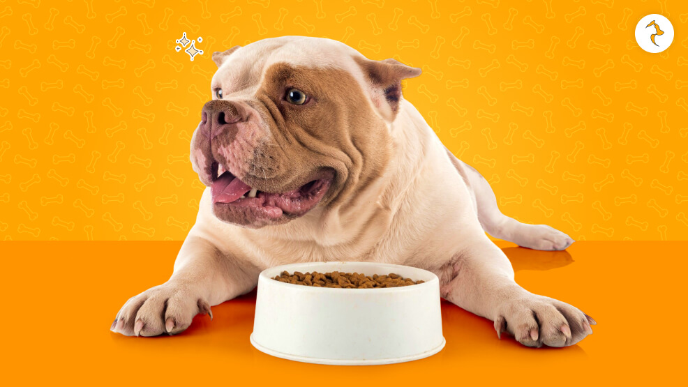 Determine If The Food Is Nutritious Enough For The Dog Or Not