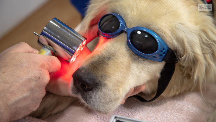 Laser Therapy