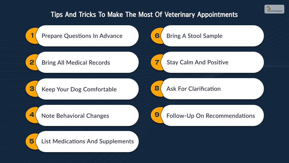 Tips and Tricks to make the most of Veterinary Appointments