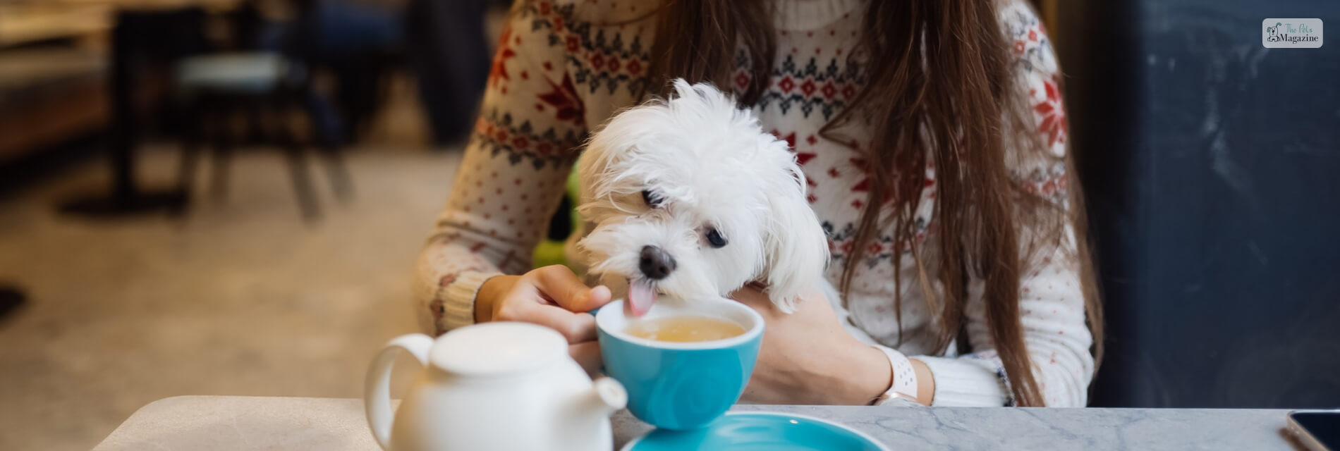 restaurant near me dog friendly