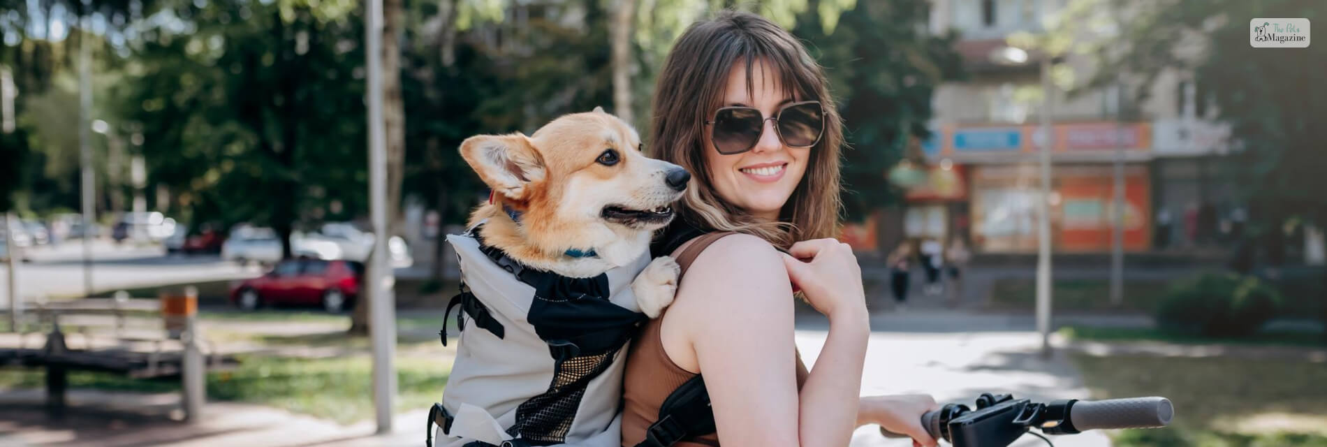 Dog Backpack