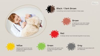 The Ultimate Dog Ear Wax Color Chart: How to Keep Them Healthy