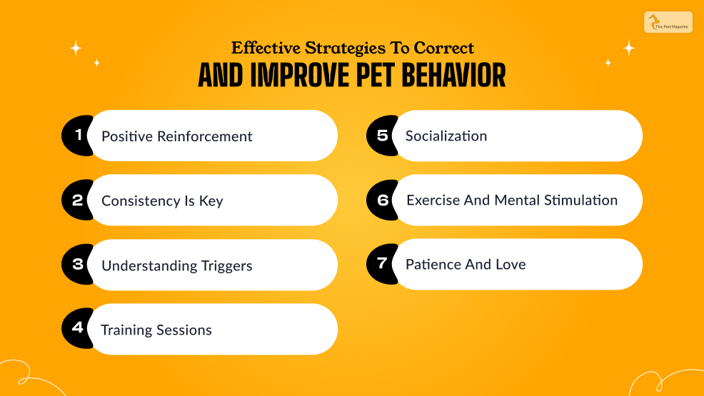 Effective Strategies to Correct and Improve Pet Behavior 