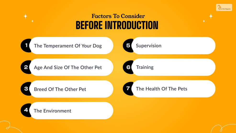 Factors To Consider Before Introduction