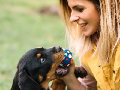 Training and Caring for Your Black Dog: Tips and Tricks for a Happy and Healthy Pet