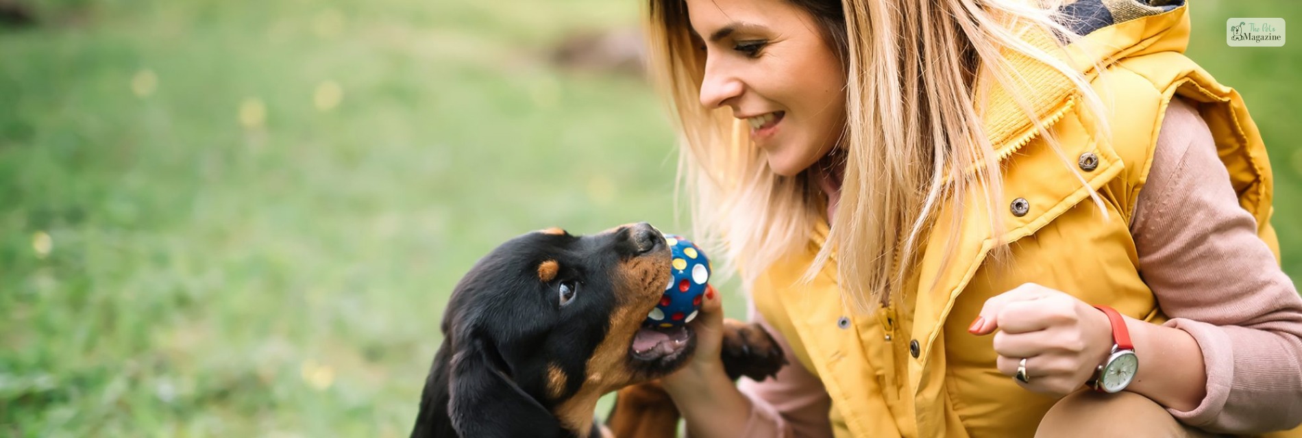 Training and Caring for Your Black Dog: Tips and Tricks for a Happy and Healthy Pet