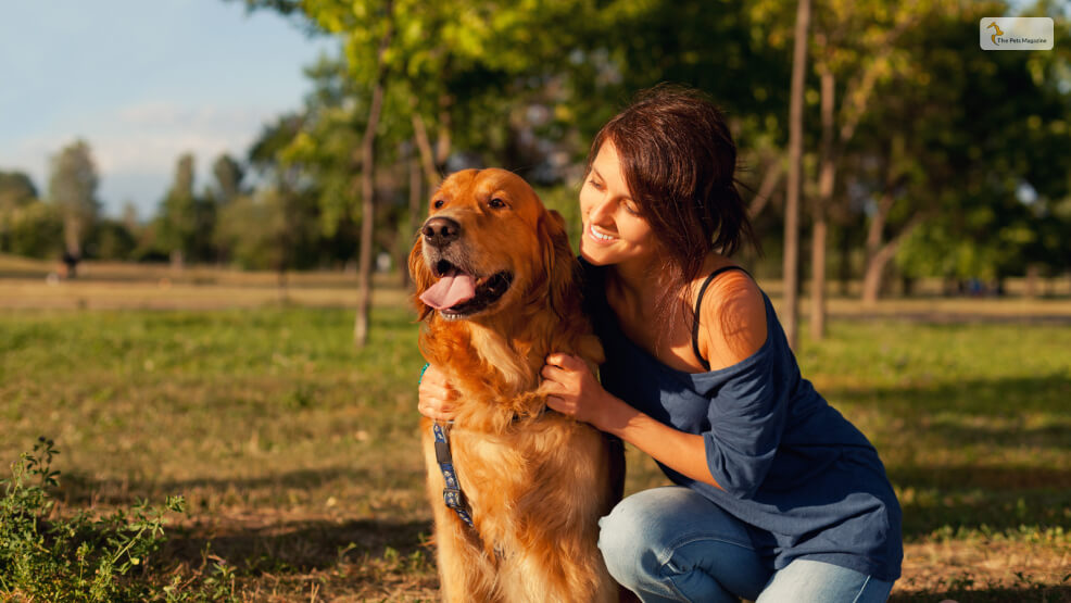 golden rules for golden retriever