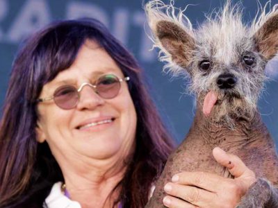 Scooter Wins the 2023 World's Ugliest Dog