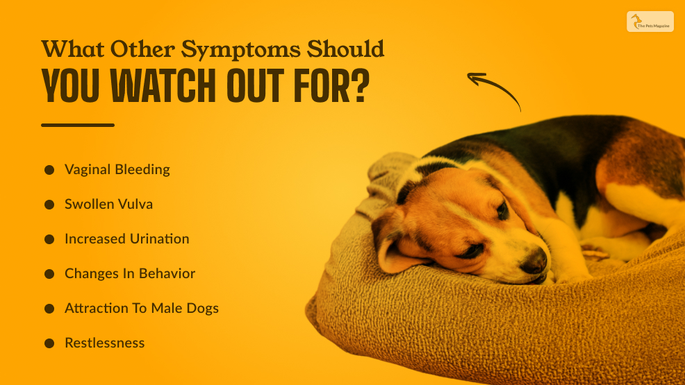 What Other Symptoms Should You Watch Out for