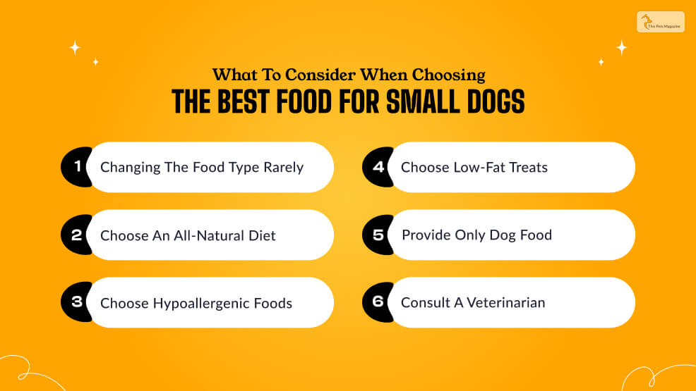 What To Consider When Choosing The Best Food For Small Dogs