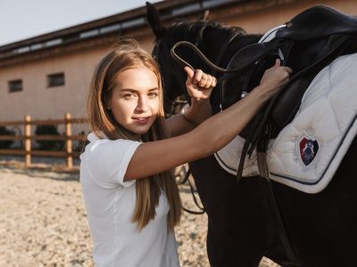 Key Considerations Before Getting A Horse