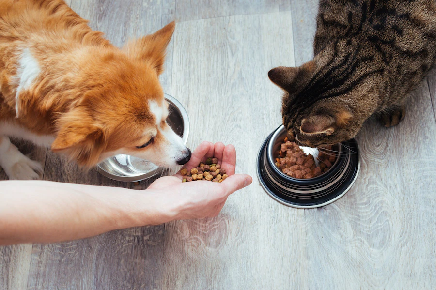 Optimal Nutrition For Happy Pets