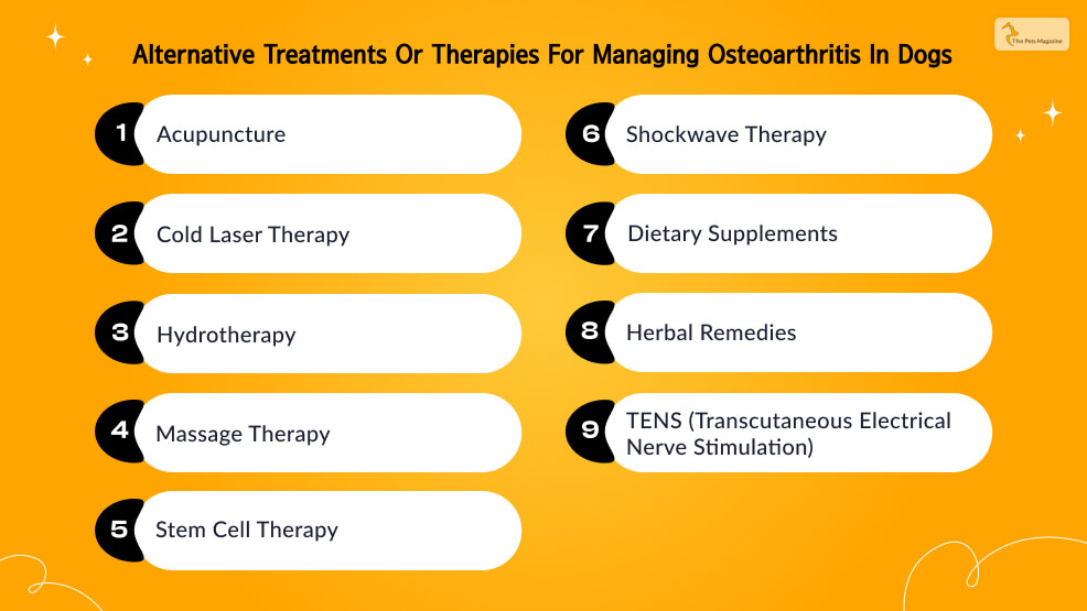 Alternative treatments or therapies for managing osteoarthritis in dogs