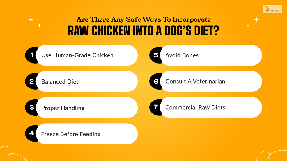 Are There Any Safe Ways to Incorporate Raw Chicken Into a Dog’s Diet_