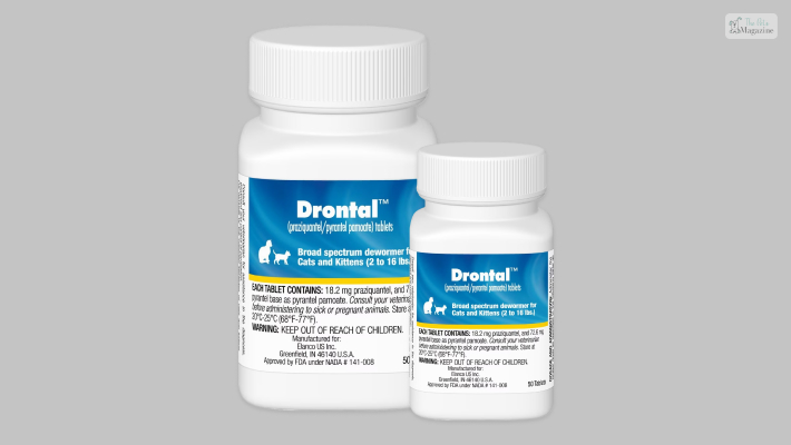 Drontal’s Dewormer