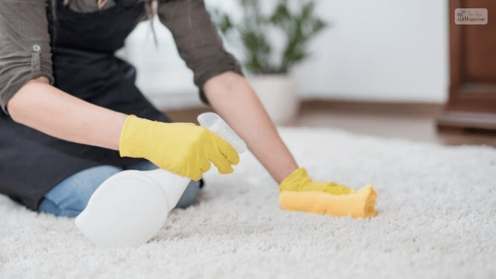 How to use Enzyme Cleaners