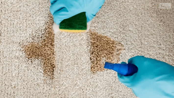 Limitations of Using Enzyme Cleaners