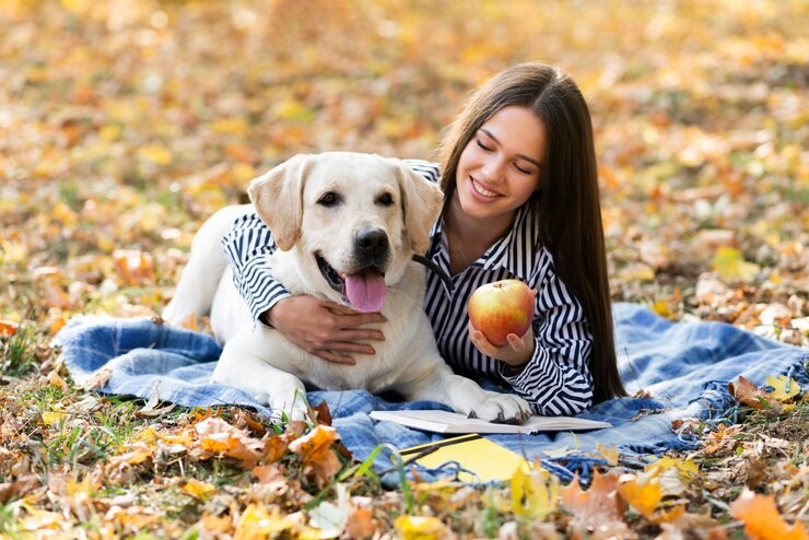 Delving into Fall with Your Dog