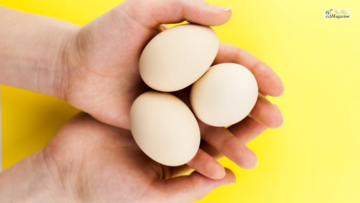 Nutritional benefits of raw eggs