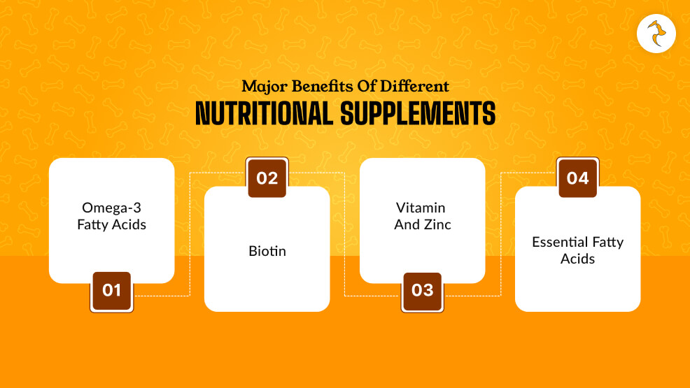 What Are The Major Benefits Of Different Nutritional Supplements