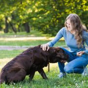Decoding Common Habits And Actions In Dog Behavior