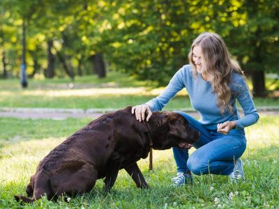 Decoding Common Habits And Actions In Dog Behavior