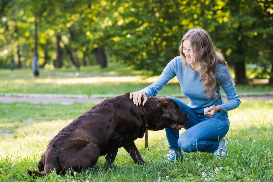 Decoding Common Habits And Actions In Dog Behavior