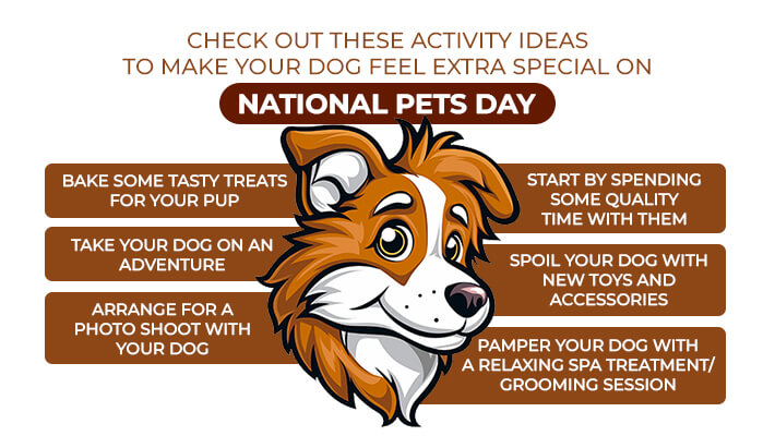 Ideas To Show Your Dog How Much You Care on National Pet Day