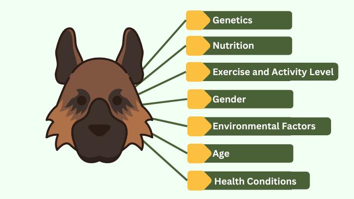 Factors That Influence the Growth Rate