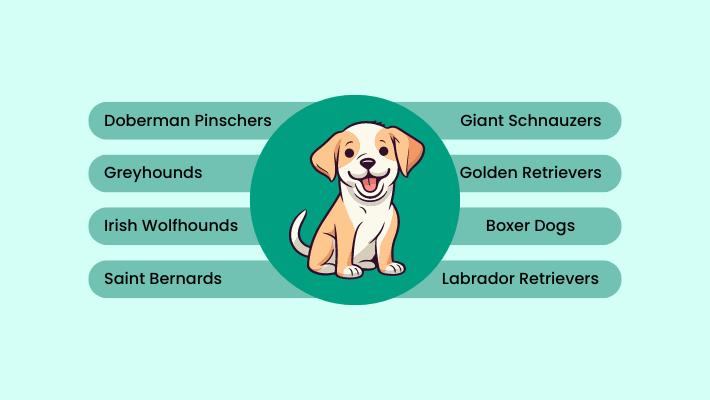 What is osteosarcoma