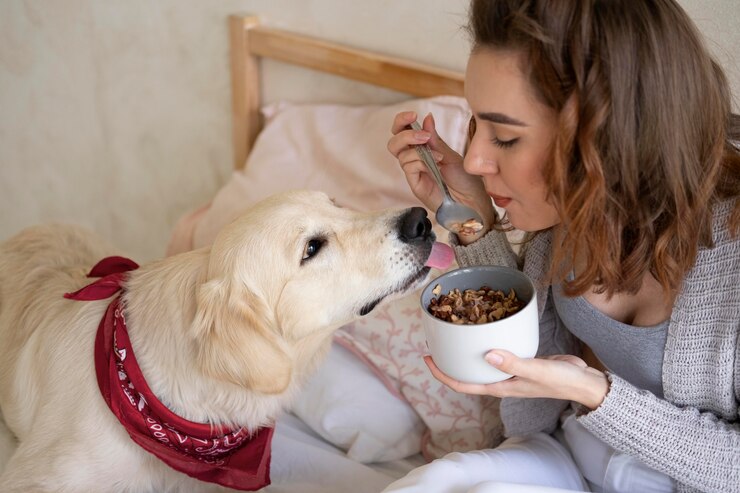 Do's And Don'ts For Feeding your Dogs