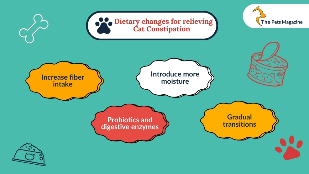 Dietary changes for relieving cat constipation