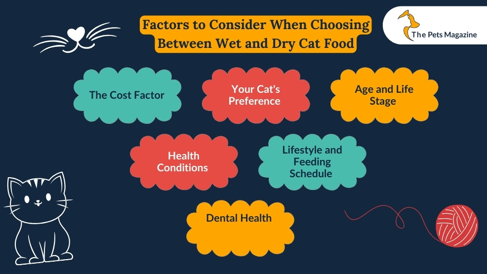 Factors to Consider When Choosing Between Wet and Dry Cat Food