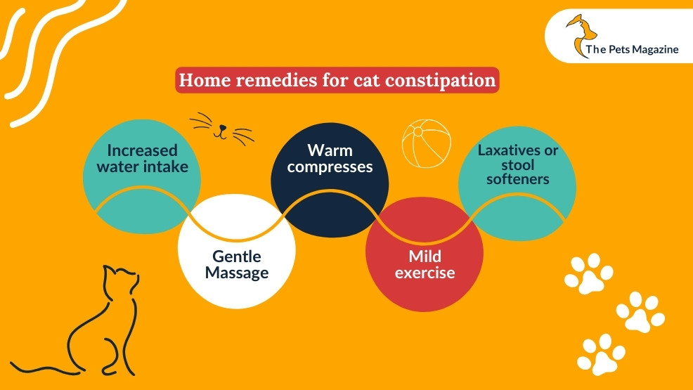 Home remedies for cat constipation