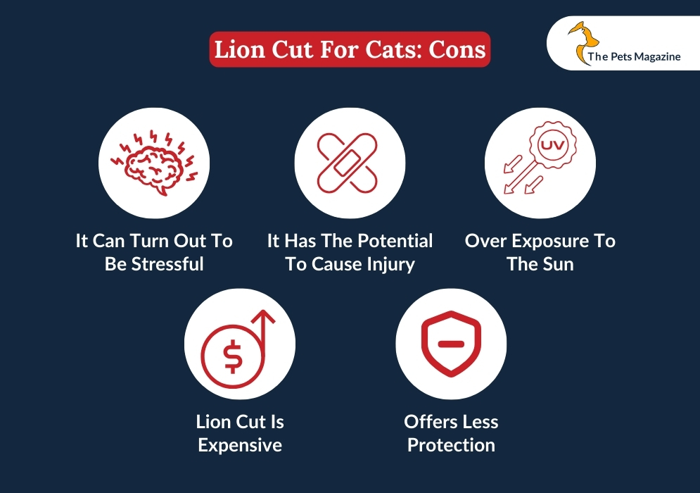 Lion Cut For Cats_ Cons