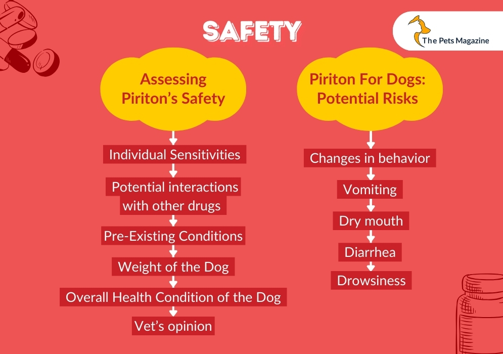 Piriton For Dogs_ Are These Safe